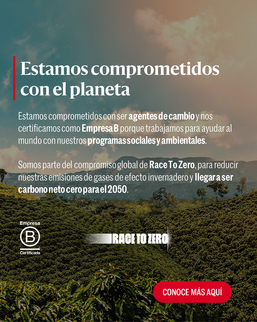 Banners-Web-Mobile-3-1-1.png