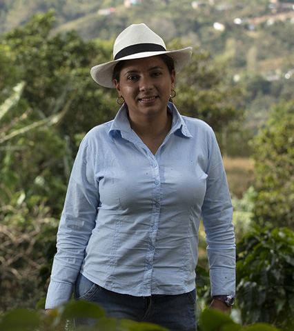 Trazando la ruta del café